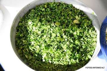 Jinámar celebra el Día del Artesano y el Labrador (Foto Antonio Alí)